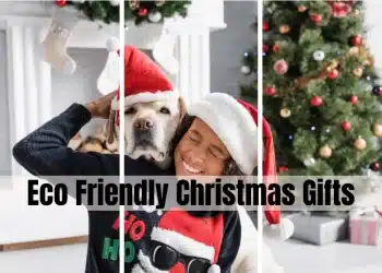 High 23 Gadgets You Want To Know About Proper Now For Your Eco Pleasant Christmas Items