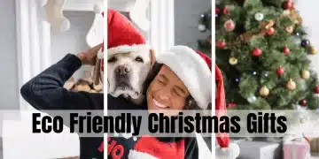 High 23 Gadgets You Want To Know About Proper Now For Your Eco Pleasant Christmas Items