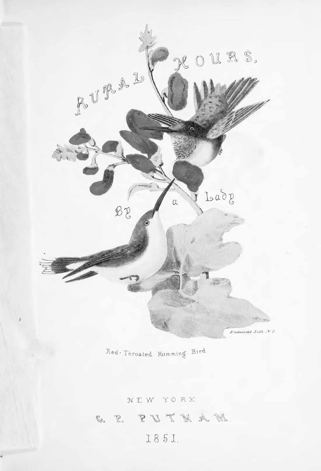 ‘Virginian Woman’ Published at Visual Verse!