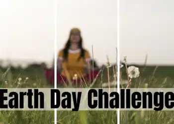 30 Earth Day Problem Concepts For Busy Folks Who Care In regards to the Atmosphere
