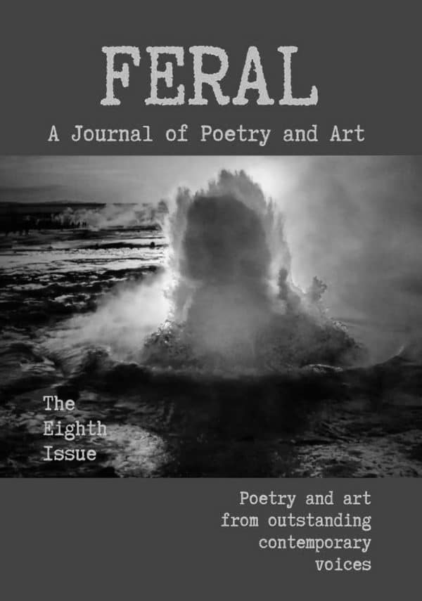 Three Poems Published at FERAL: a journal of poetry and art.