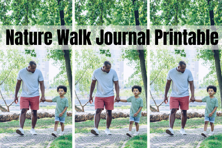 Right here’s How To Make An Superior Nature Stroll Journal Printable