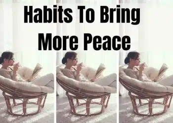5 Biggest Habits to Convey Extra Peace In Your Busy Life