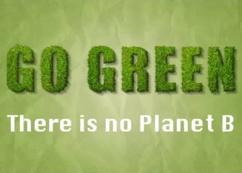 29 Distinctive Eco Quotes To Use As Environmental Captions for Instagram