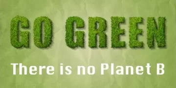 29 Distinctive Eco Quotes To Use As Environmental Captions for Instagram