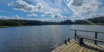 47+ Eco Pleasant Summer time Actions for the Finest Summer time Ever