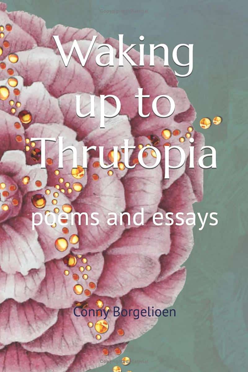 E-book Evaluate: Waking as much as Thrutopia by Conny Borgelioen