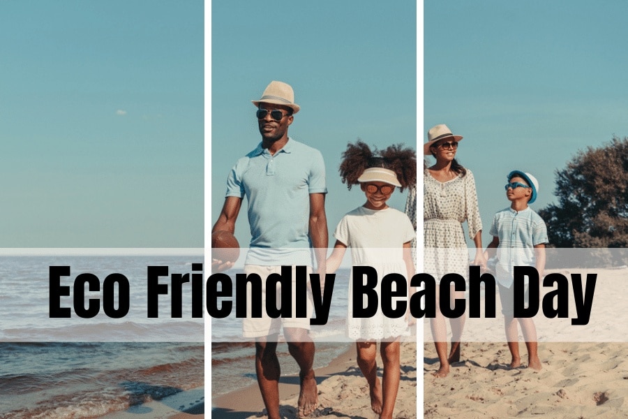 15 Uncomplicated Methods To Have An Eco Pleasant Seashore Day