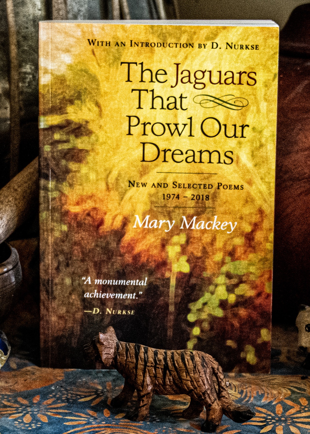 E book Evaluate: The Jaguars That Prowl Our Goals by Mary Mackey